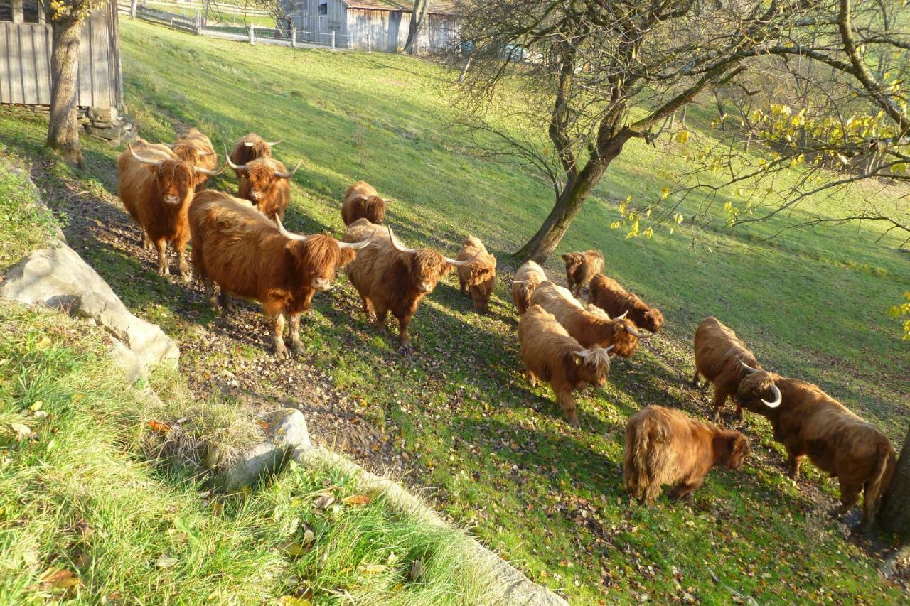 Dorferhof Villa Weistrach Bagian luar foto